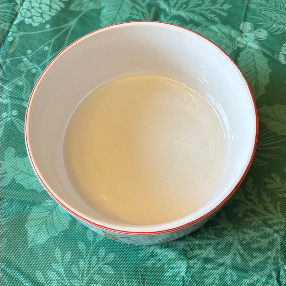 NEW Beth Briggs ceramic dog bowl!